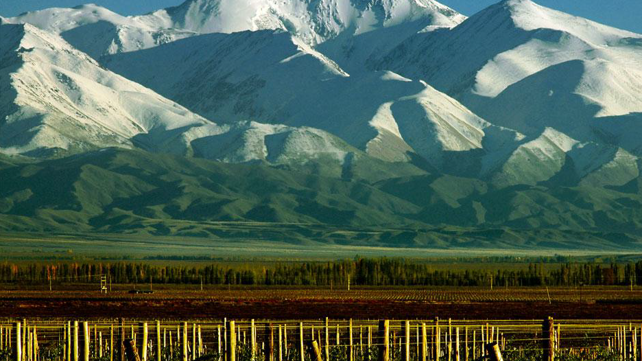 Image Slider